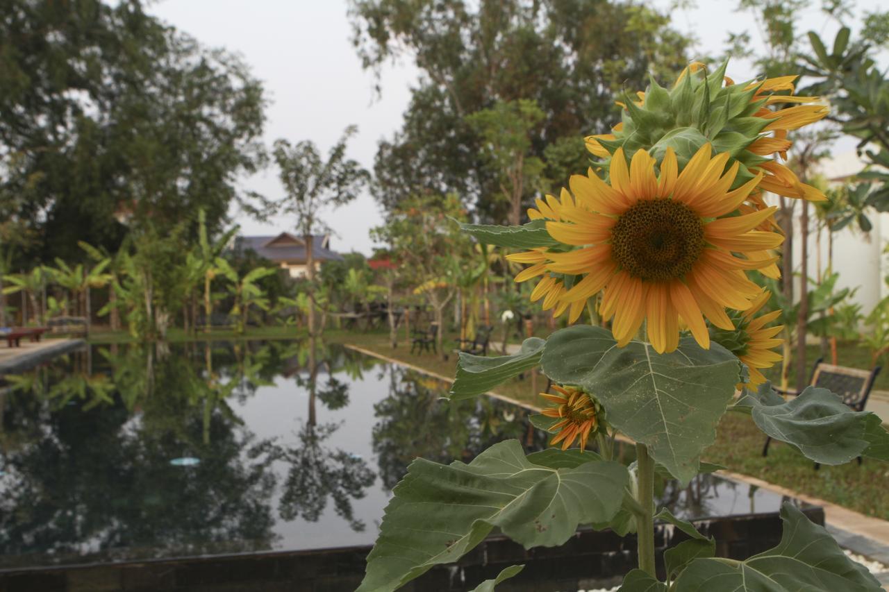 Blue Spring Boutique Hotell Siem Reap Exteriör bild